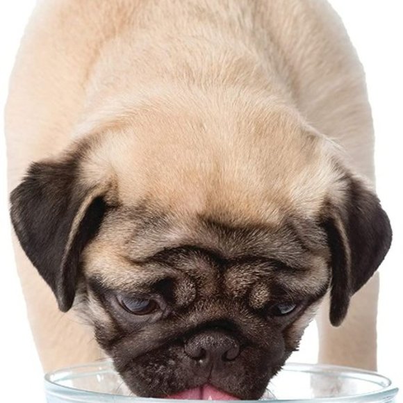 Advanced Oral Care Water Additive for Dogs - Liquid Tartar Remover Original 32 - Picture 3 of 5